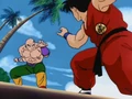 TrainingAtKameHouse