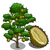 Chanee Durian Tree-icon.png