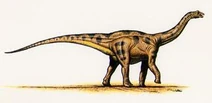 Apatosaurus