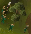 Macros woodcutting.gif