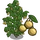 Longan Tree-icon
