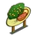 Star Ruby Grapefruit Tree Mastery Sign-icon