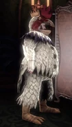 Zw-Chicken Suit 2