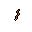 Worm.gif