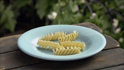 4217Pasta