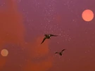 Bothmoons