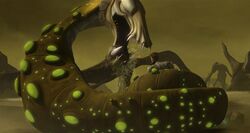 Dragonsnake Nal Hutta