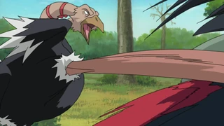 Ostrich Whirlwind