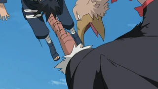 Ostrich rising dragon kick