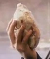 Ron Sandwich 3.jpg