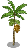 Peach Palm Tree2-icon