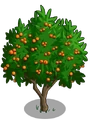 Golden Apricot2-icon
