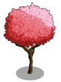 Rainier Cherry1-icon
