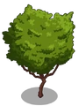 Ruby Guava1-icon