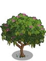 Mountain Ebony2-icon