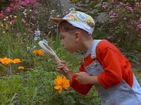 KidsBugsFlowers