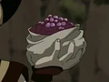 Purple berries.png