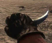 Karambit Knife