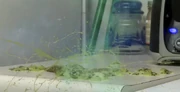 Kiwi Explodes