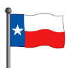 Texas Flag-icon