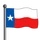 Texas Flag-icon