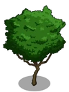 Guava1-icon