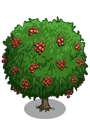 Lychee2-icon