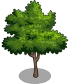 Lime1-icon