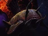 Yeerk AP
