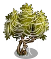 Olive3-icon