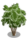 Pomegranate3-icon