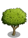 Rainbow Apple1-icon