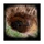 Item foxhole 01