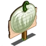 White Pumpkins