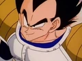 Vegeta48