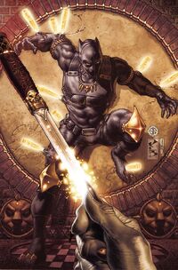 T'Challa (Earth-616)