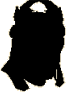 Mystery emir.gif (2 KB) Mystery emir