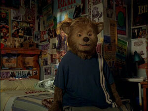 Country bears in03sm