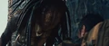 Predatorsbdcap3