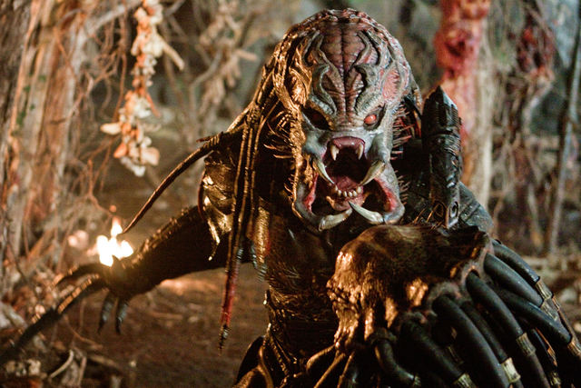 Predators15