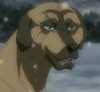Buruge