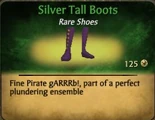 Silver Tall Boots