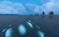Vashj'ir - Giant Shell.jpg