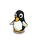 Black Penguin