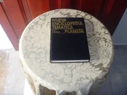 P1040639.JPG