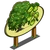 Arjuna Tree