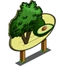 Avocado Tree