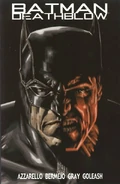 Batman Deathblow After the Fire Vol 1 3