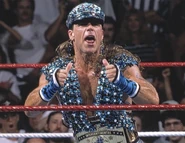 SummerSlam 1995.2