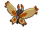 Mothim espalda G5